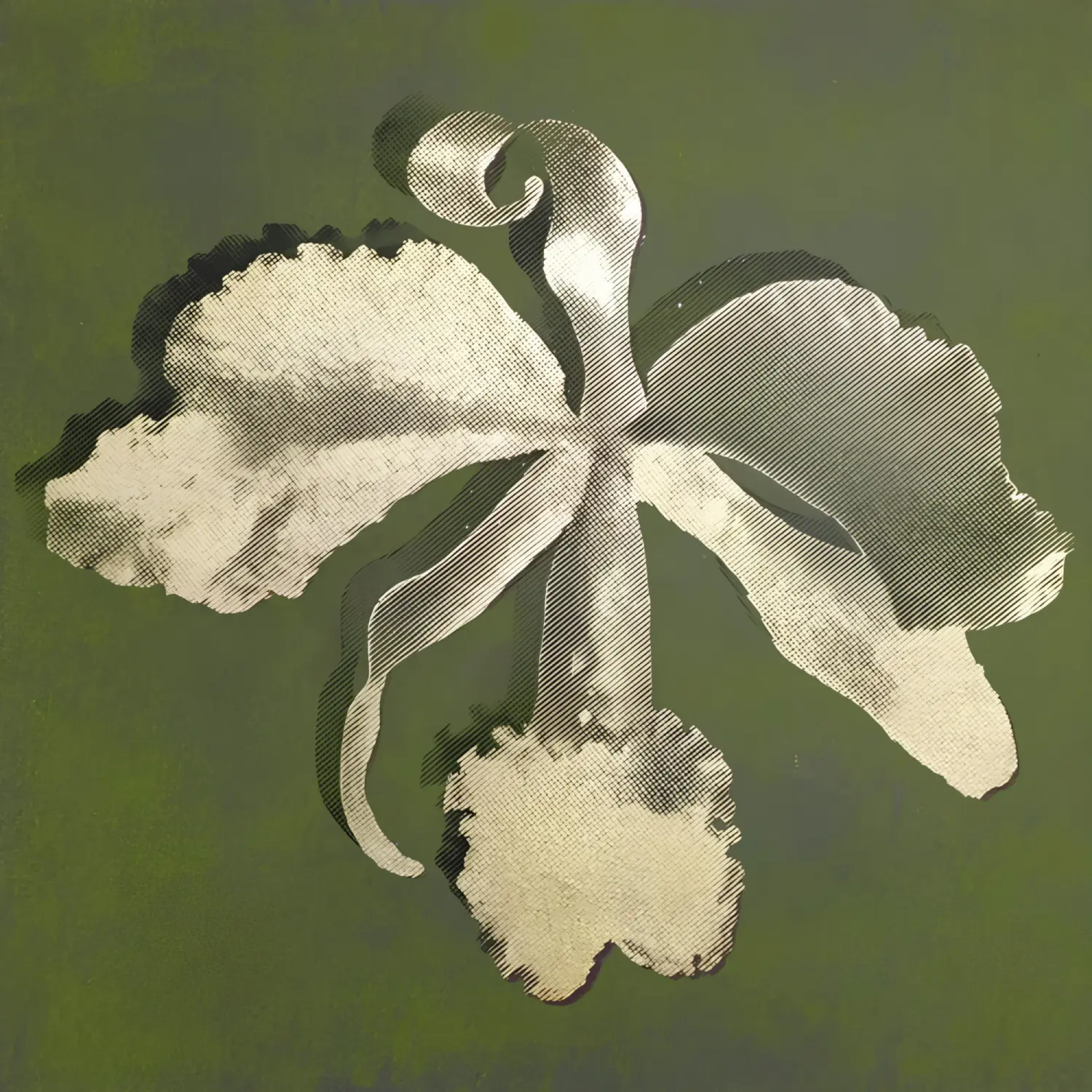 Orquídea y Diente de León · II